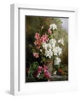 Still Life of Azaleas-Annie Feray Mutrie-Framed Giclee Print