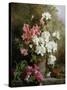 Still Life of Azaleas-Annie Feray Mutrie-Stretched Canvas