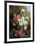 Still Life of Azaleas-Annie Feray Mutrie-Framed Giclee Print