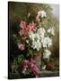 Still Life of Azaleas-Annie Feray Mutrie-Stretched Canvas