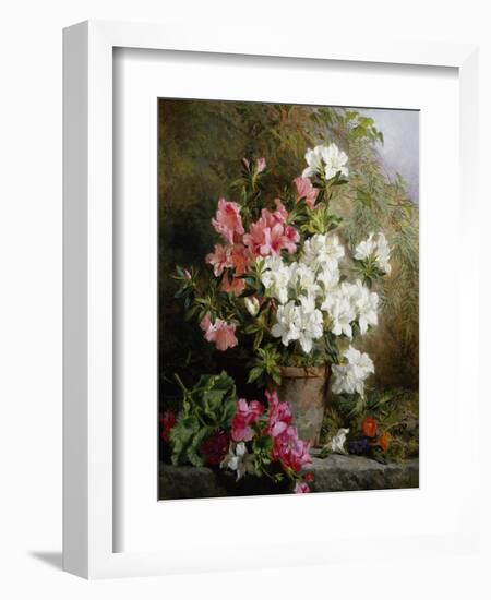 Still Life of Azaleas-Annie Feray Mutrie-Framed Premium Giclee Print