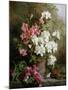 Still Life of Azaleas-Annie Feray Mutrie-Mounted Giclee Print