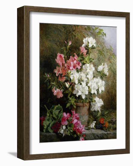 Still Life of Azaleas-Annie Feray Mutrie-Framed Giclee Print