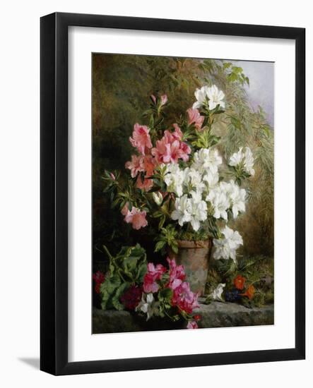 Still Life of Azaleas-Annie Feray Mutrie-Framed Giclee Print