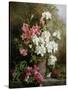 Still Life of Azaleas-Annie Feray Mutrie-Stretched Canvas