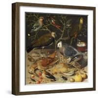 Still Life of Birds and Insects, 1637-Georg Flegel-Framed Giclee Print