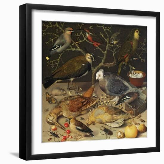 Still Life of Birds and Insects, 1637-Georg Flegel-Framed Giclee Print