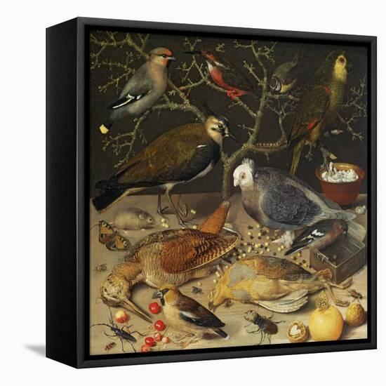 Still Life of Birds and Insects, 1637-Georg Flegel-Framed Stretched Canvas