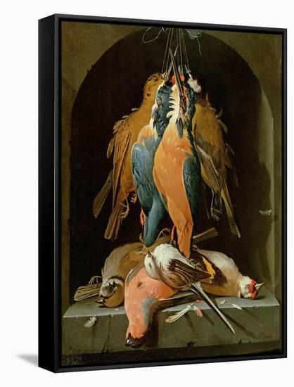 Still Life of Birds-Abraham Mignon-Framed Stretched Canvas