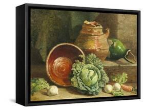 Still Life of Cabbages, Carrot and Turnips-William Hughes-Framed Stretched Canvas