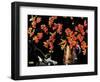 Still Life of Cat and Currants - Jack & Jill-Nelson Grafe-Framed Giclee Print