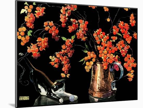 Still Life of Cat and Currants - Jack & Jill-Nelson Grafe-Mounted Giclee Print