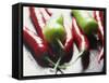 Still Life of Chilli Peppers-Lee Frost-Framed Stretched Canvas