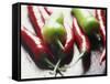 Still Life of Chilli Peppers-Lee Frost-Framed Stretched Canvas