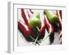 Still Life of Chilli Peppers-Lee Frost-Framed Photographic Print