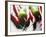 Still Life of Chilli Peppers-Lee Frost-Framed Photographic Print