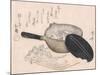 Still Life of Cut Vegetables and a Pot Containing Icefish-Ryuryukyo Shinsai-Mounted Art Print
