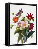 Still Life of Dahlias-Georgius van Os-Framed Stretched Canvas