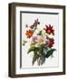 Still Life of Dahlias-Georgius van Os-Framed Giclee Print