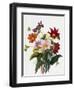 Still Life of Dahlias-Georgius van Os-Framed Giclee Print