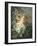 Still Life of Daisies and Poppies-Pierre Gontier-Framed Giclee Print