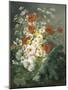 Still Life of Daisies and Poppies-Pierre Gontier-Mounted Giclee Print