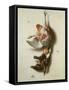 Still Life of Dead Game, 17Th Century-Jacobus Biltius-Framed Stretched Canvas