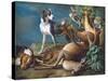 Still Life of Dead Game with Hounds, 1730-Alexandre-Francois Desportes-Stretched Canvas