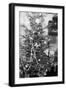 Still Life of Early 20Th Century Christmas Tree, Ca. 1910.-Kirn Vintage Stock-Framed Photographic Print