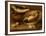 Still Life of Fish and Lemons-Clara Peeters-Framed Giclee Print