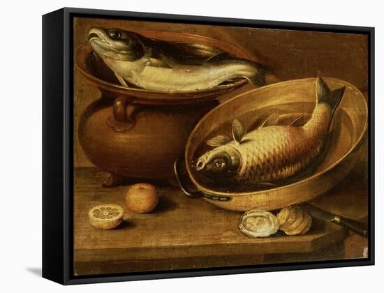 Still Life of Fish and Lemons-Clara Peeters-Framed Stretched Canvas