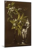 Still Life of Flowers and a Vase-Andrea Belvedere-Mounted Giclee Print