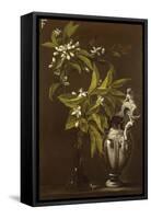 Still Life of Flowers and a Vase-Andrea Belvedere-Framed Stretched Canvas