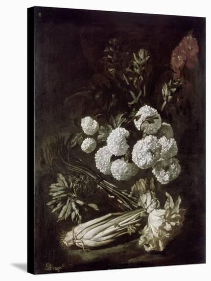 Still Life of Flowers and Vegetables, 17th Century-Giovanni-Battista Ruoppolo-Stretched Canvas