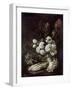 Still Life of Flowers and Vegetables, 17th Century-Giovanni-Battista Ruoppolo-Framed Giclee Print