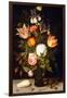 Still Life of Flowers in a Roemer with Two Shells (Oil on Panel)-Balthasar van der Ast-Framed Giclee Print