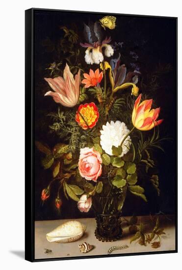 Still Life of Flowers in a Roemer with Two Shells (Oil on Panel)-Balthasar van der Ast-Framed Stretched Canvas