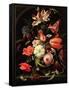 Still Life of Flowers on a Ledge-Abraham Mignon-Framed Stretched Canvas