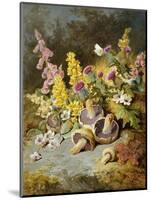 Still Life of Floxgloves, Mushrooms, Snapdragons, and Thistles-Thomas Worsey-Mounted Giclee Print