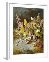 Still Life of Floxgloves, Mushrooms, Snapdragons, and Thistles-Thomas Worsey-Framed Giclee Print