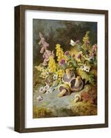 Still Life of Floxgloves, Mushrooms, Snapdragons, and Thistles-Thomas Worsey-Framed Giclee Print