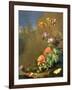 Still Life of Forest Floor with Flowers, Mushrooms and Snails-Elias Van Den Broeck-Framed Giclee Print