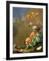 Still Life of Forest Floor with Flowers, Mushrooms and Snails-Elias Van Den Broeck-Framed Giclee Print