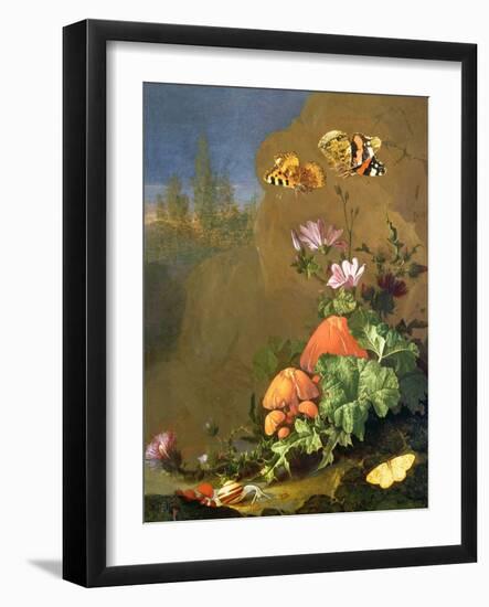 Still Life of Forest Floor with Flowers, Mushrooms and Snails-Elias Van Den Broeck-Framed Giclee Print