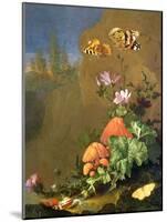 Still Life of Forest Floor with Flowers, Mushrooms and Snails-Elias Van Den Broeck-Mounted Giclee Print