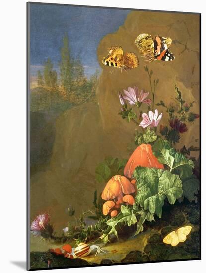 Still Life of Forest Floor with Flowers, Mushrooms and Snails-Elias Van Den Broeck-Mounted Giclee Print