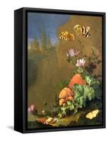 Still Life of Forest Floor with Flowers, Mushrooms and Snails-Elias Van Den Broeck-Framed Stretched Canvas