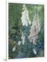 Still Life of Foxgloves-Mary Margetts-Framed Giclee Print