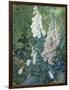 Still Life of Foxgloves-Mary Margetts-Framed Giclee Print