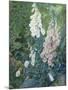 Still Life of Foxgloves-Mary Margetts-Mounted Giclee Print